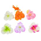 Asztromélia virágfej D8cm 120db/#