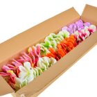 Asztromélia virágfej D8cm 120db/#