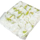 Rózsa virágfej D6cm 24db/szín/csom krém 300