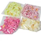 Orchidea virágfej D9cm 24db/szín/csom