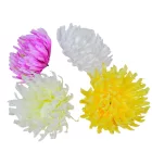 Krizantém virágfej mix D10cm 12db/szín/csom