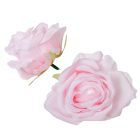 Rózsa virágfej D7cm 600 24db/csom