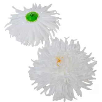 Krizantém virágfej óriás fehér D15cm 6db/csom