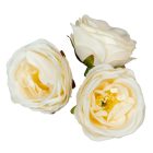 Rózsa virágfej D7cm 202 24db/csom