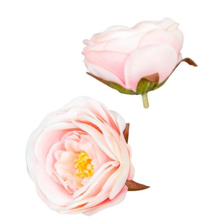 Rózsa virágfej D7cm 204 24db/csom