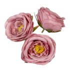 Rózsa virágfej D7cm 830 24db/csom