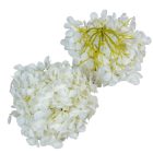 Hortenzia fej D15cm 300 12db/csom