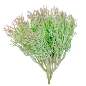 Varju háj M18cm 6db/csom