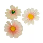 Margaréta virágfej krém-rózsaszín D7cm 60db/csom