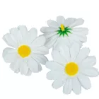 Margaréta virágfej fehér D7cm 60db/csom