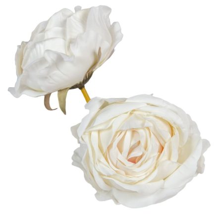 Rózsa virágfej D8cm fehér BR12 24db/csom