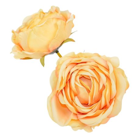 Rózsa virágfej barack R7 D8cm 24db/csom