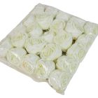 Rózsa virágfej D7cm krém R1 24db/csom
