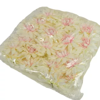 Dália virágfej D11cm krém pink D12 24db/csom