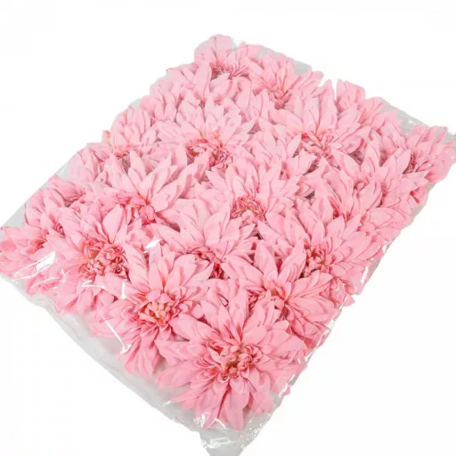 Dália virágfej D11cm old pink D5 24db/csom