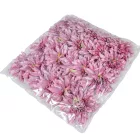 Dália virágfej D11cm világoslila D6 24db/csom