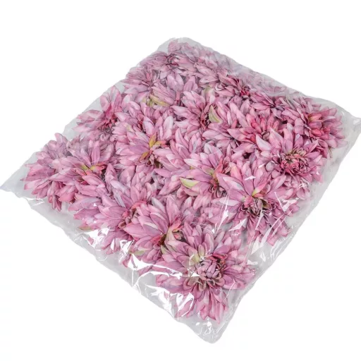 Dália virágfej D11cm világoslila D6 24db/csom