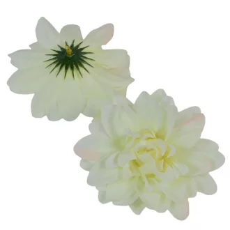 Dália virágfej D10cm krém D1 24db/csom