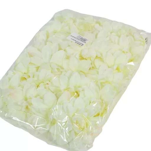 Dália virágfej D10cm krém D1 24db/csom
