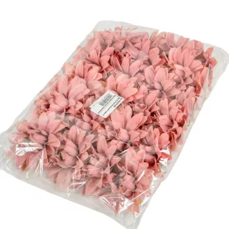 Dália virágfej D10cm sötétmályva D8 24db/csom
