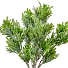 Bokor 5ágú mix M33cm 36db/#