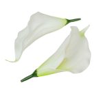 Kála virágfej polifoam 14cm 24db/csom