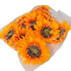 Napraforgó virágfej D13cm 12db/csom