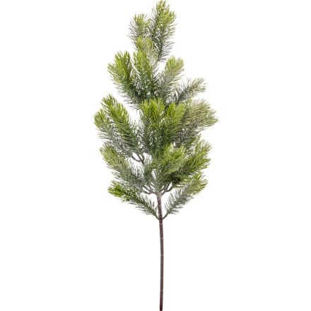 Fenyő ág M63cm