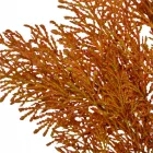 Tuja ág M51cm 60db/#