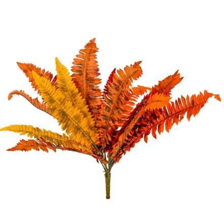 Őszi páfrány bokor M50cm 12db/#