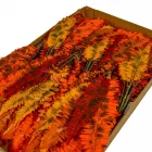 Őszi páfrány bokor M50cm 12db/#