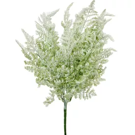 Páfrány bokor gumi 7ágú M47cm48db/#