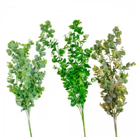 Eukaliptusz futó 85cm 24db/#