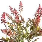 Bokor 5ágú mix M45cm 48db/#