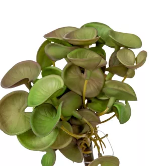 Leveles bokor gumi M20cm 36db/#