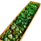 Bokor gumi M20cm 36db/#