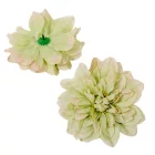 Dália virágfej D14cm zöld 12db/csom