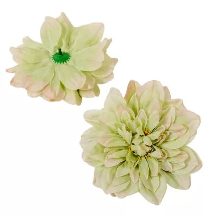 Dália virágfej D14cm zöld 12db/csom