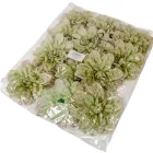 Dália virágfej D14cm zöld 12db/csom
