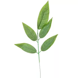 Leveles ág M56cm 12db/köteg