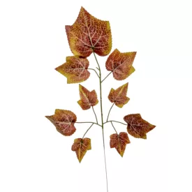 Juhar ág M55cm 12db/köteg