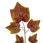 Juhar ág M55cm 12db/köteg