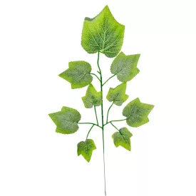 Juhar ág M55cm 12db/köteg