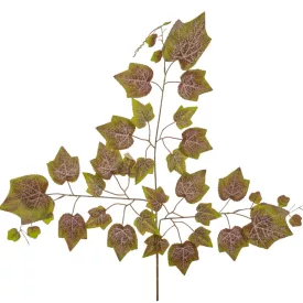 Juhar ág M68cm 12db/köteg