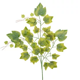 Juhar ág M68cm 12db/köteg