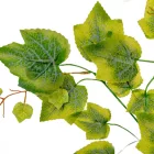 Juhar ág M68cm 12db/köteg