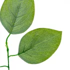 Leveles ág M53cm 12db/köteg