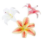 Liliom virágfej gumi D13cm 24db/szín/csom
