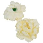Peónia virágfej D12cm világoskrém 302 12db/csom