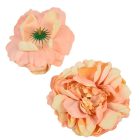 Peónia virágfej D12cm rózsa krém 615 12db/csom